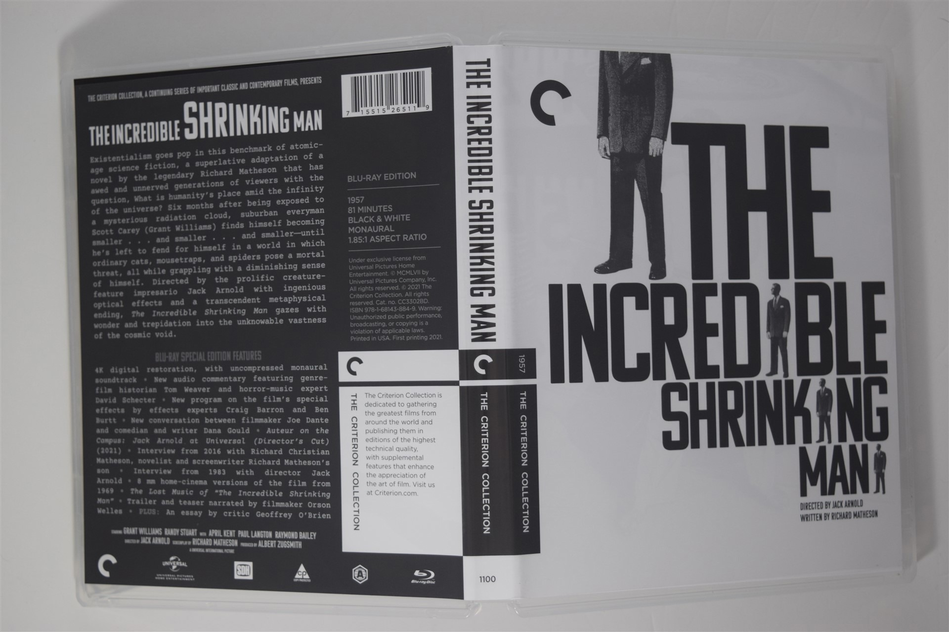 Screen capture from The Incredible Shrinking Man