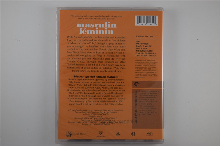 Screen capture from Masculin féminin