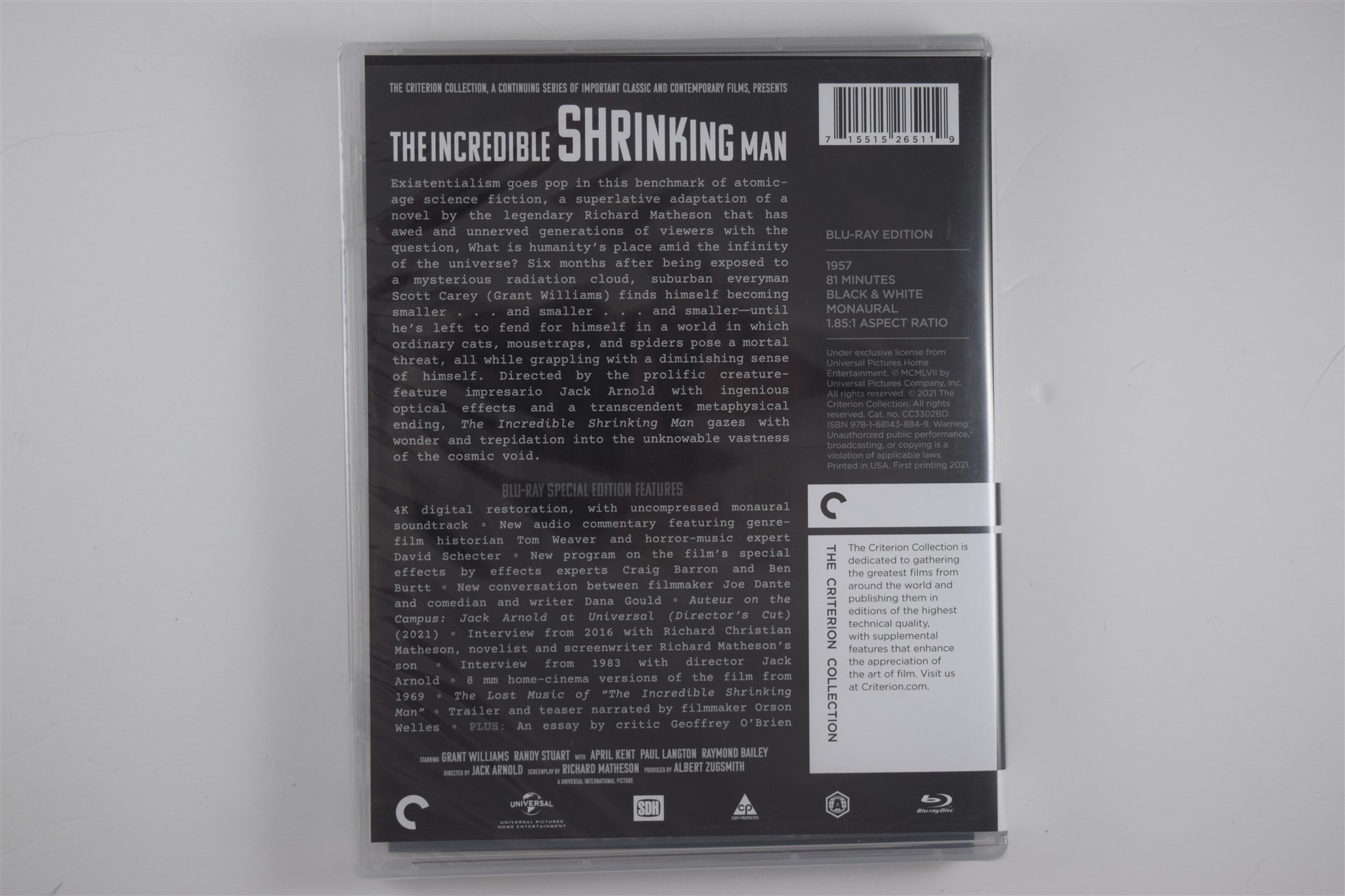 Screen capture from The Incredible Shrinking Man