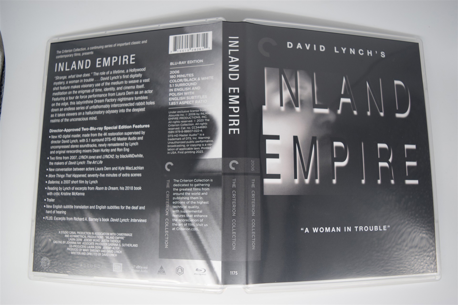 Screen capture from Inland Empire