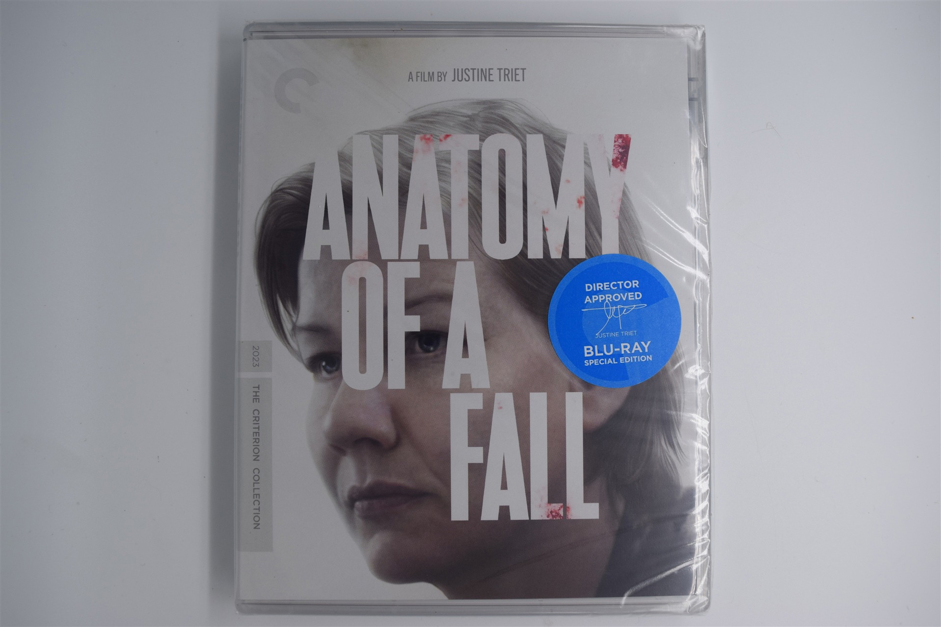 Screen capture from Anatomy of a Fall