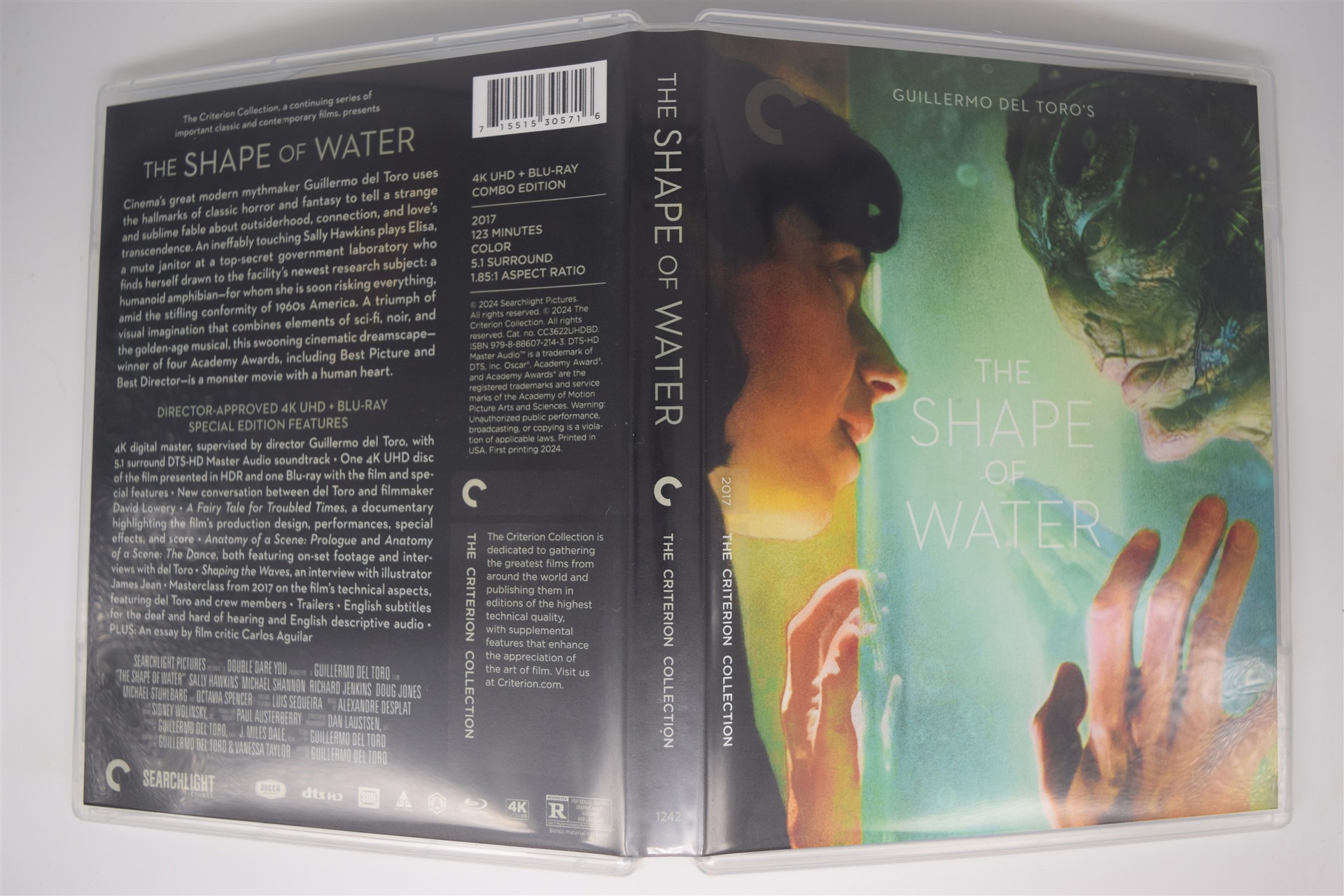 Screen capture from The Shape of Water