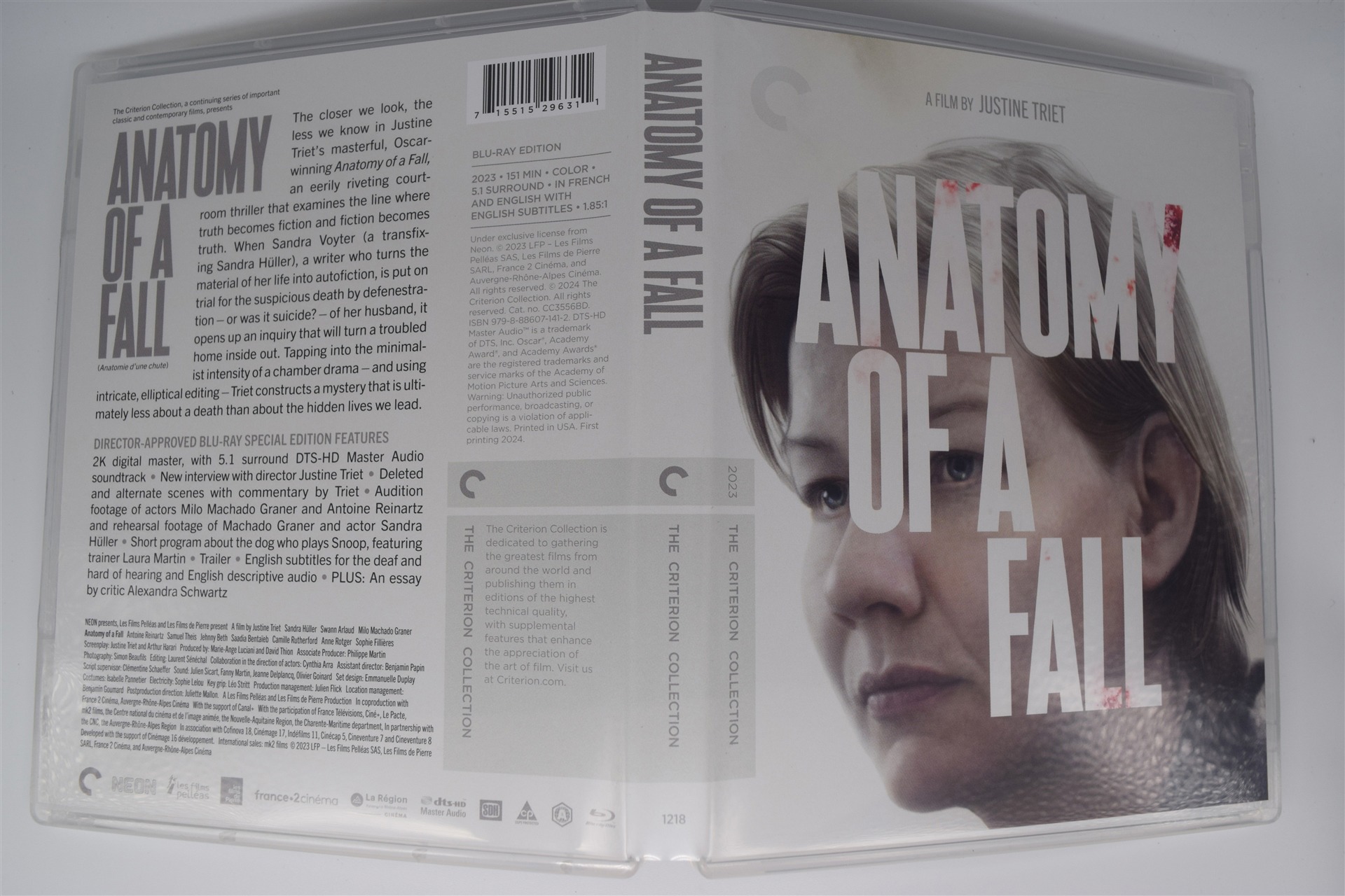 Screen capture from Anatomy of a Fall