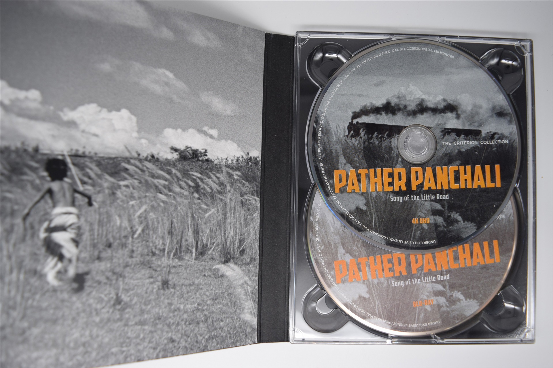 Screen capture from Pather Panchali