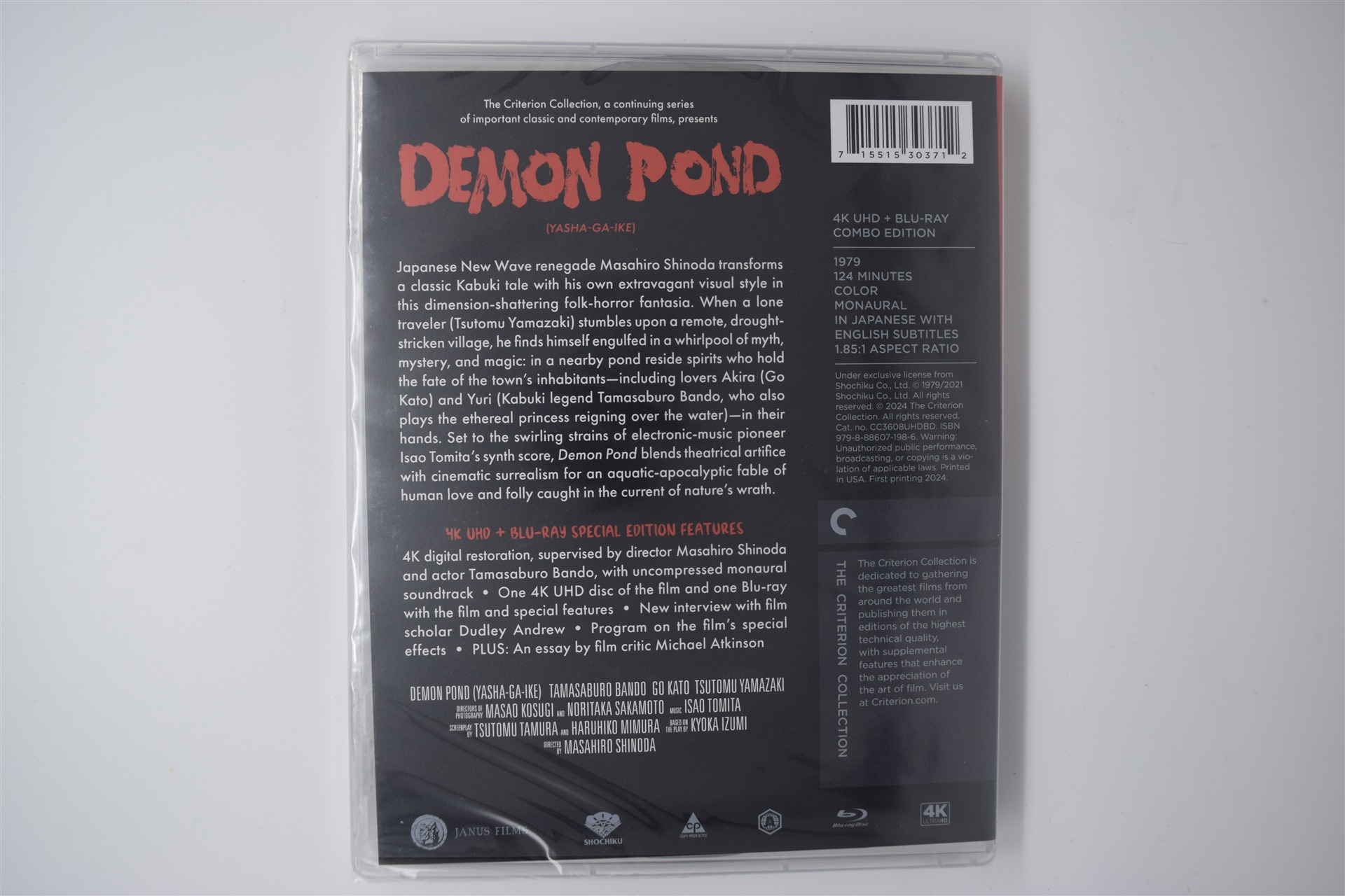 Screen capture from Demon Pond