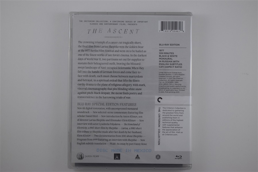 Screen capture from The Ascent