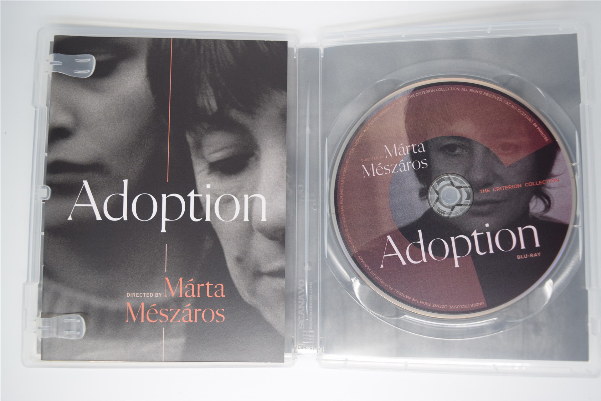Screen capture from Adoption