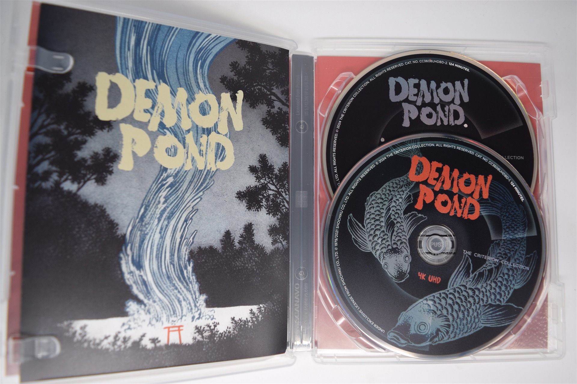 Screen capture from Demon Pond