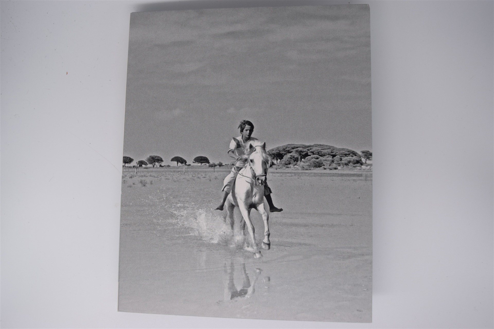 Screen capture from The Red Balloon and Other Stories: Five Films by Albert Lamorisse