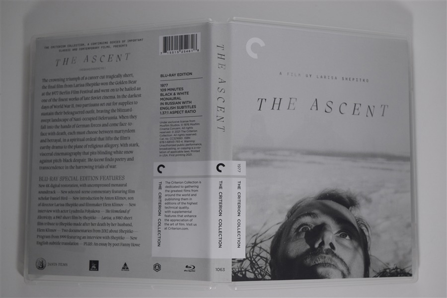 Screen capture from The Ascent