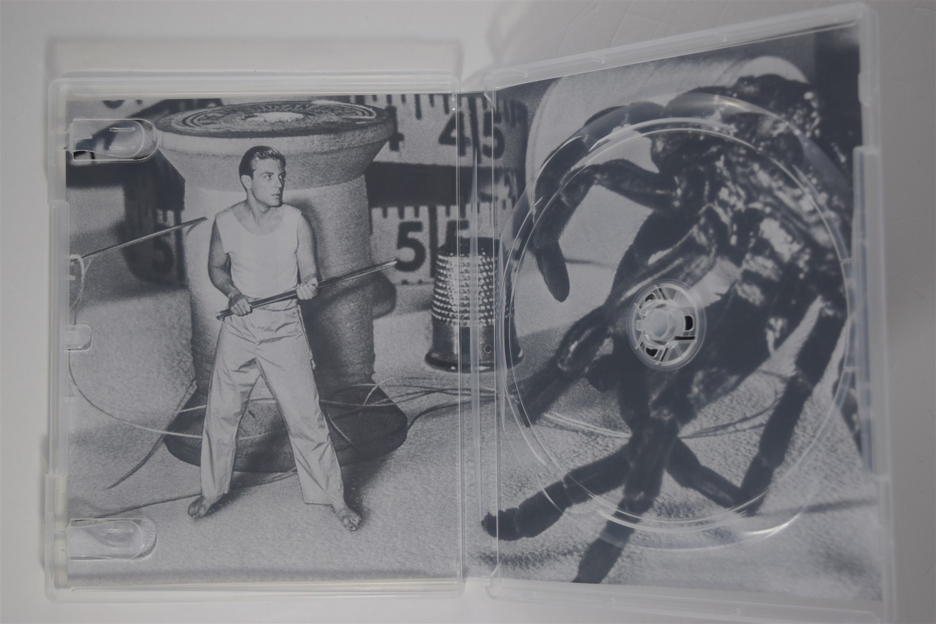 Screen capture from The Incredible Shrinking Man