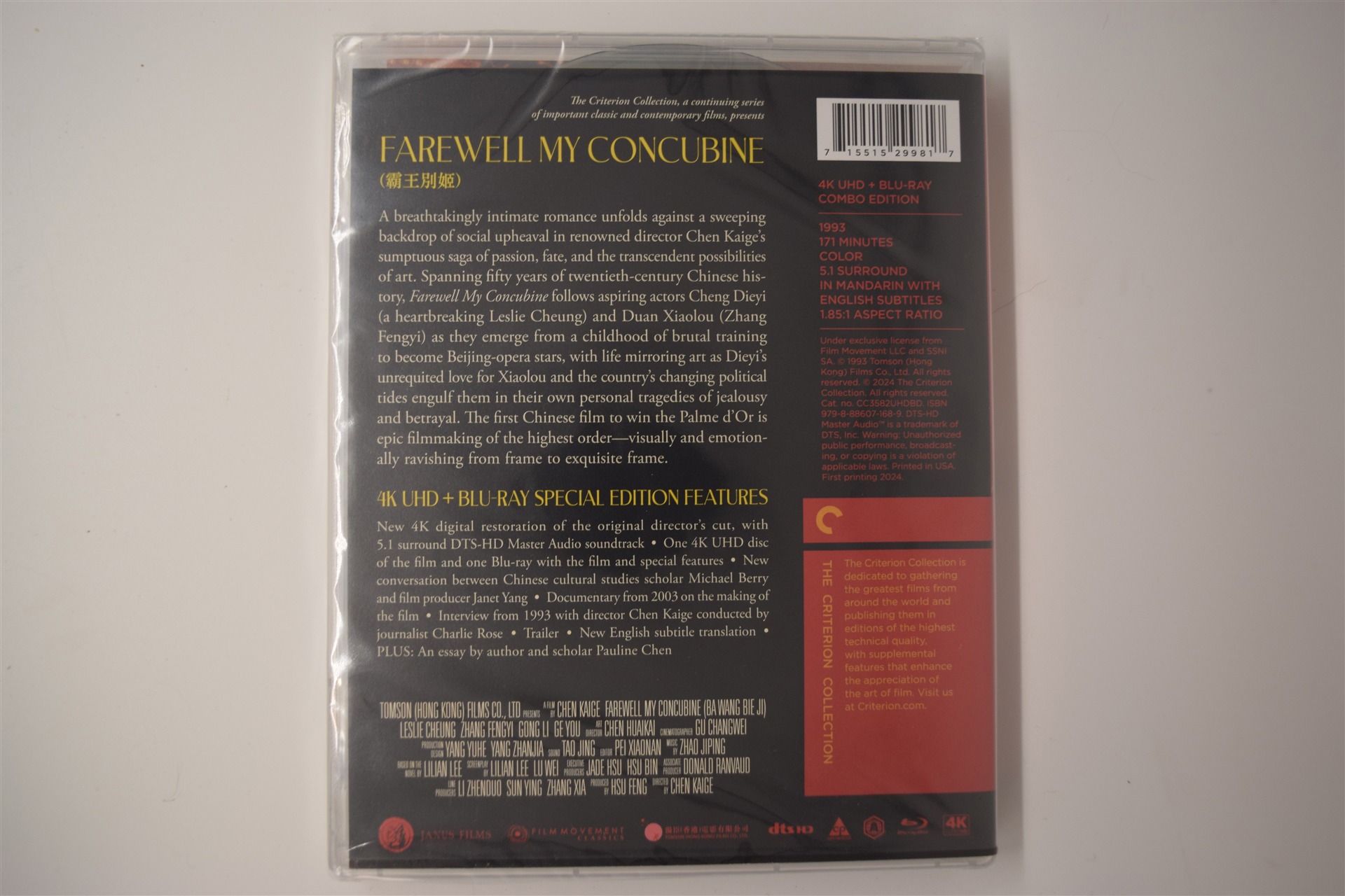 Screen capture from Farewell My Concubine