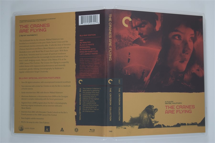 Screen capture from The Cranes are Flying