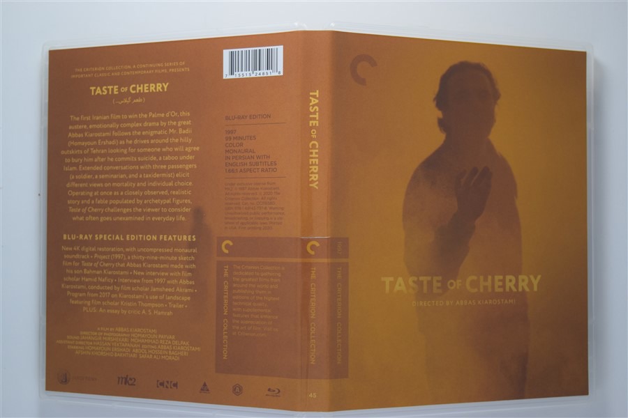 Screen capture from Taste of Cherry