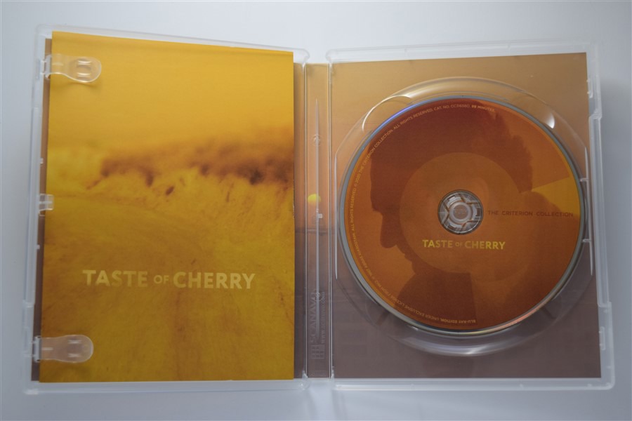 Screen capture from Taste of Cherry