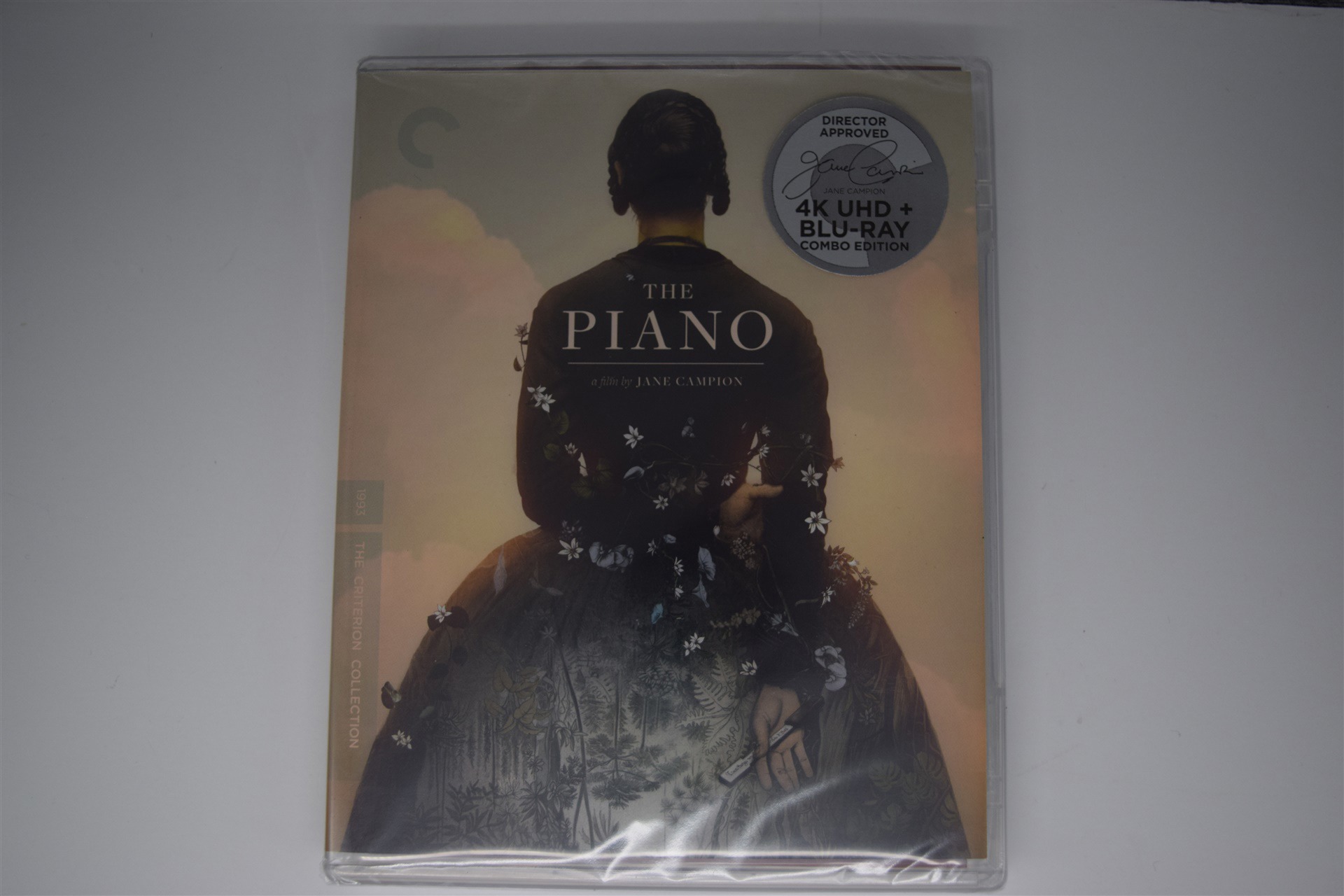 Screen capture from The Piano