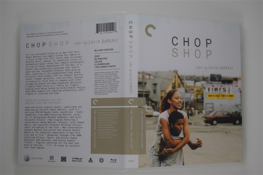 Screen capture from Chop Shop