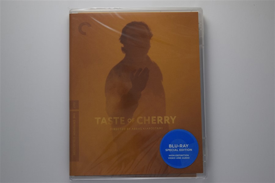 Screen capture from Taste of Cherry
