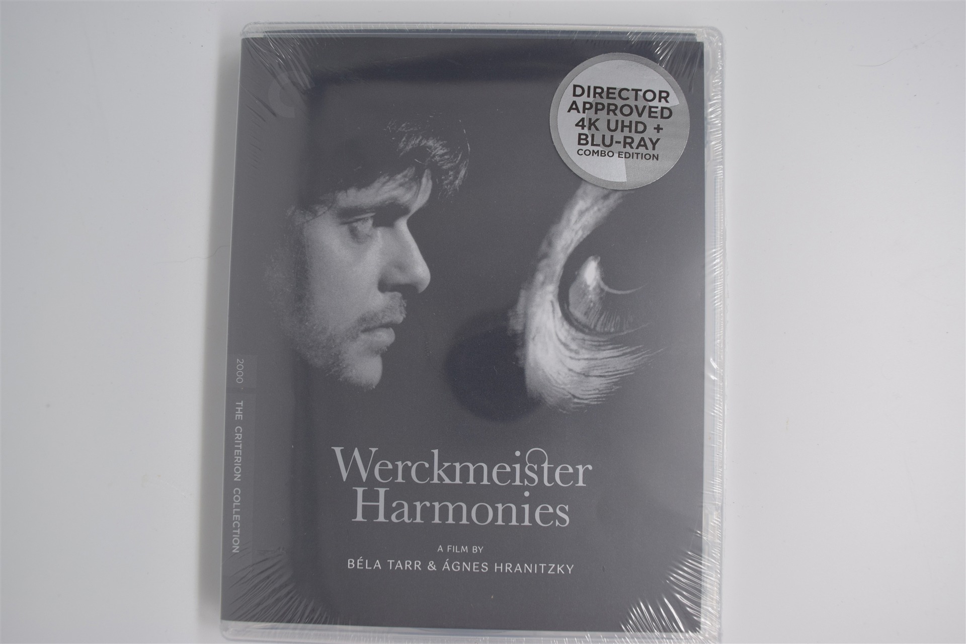 Screen capture from Werckmeister Harmonies