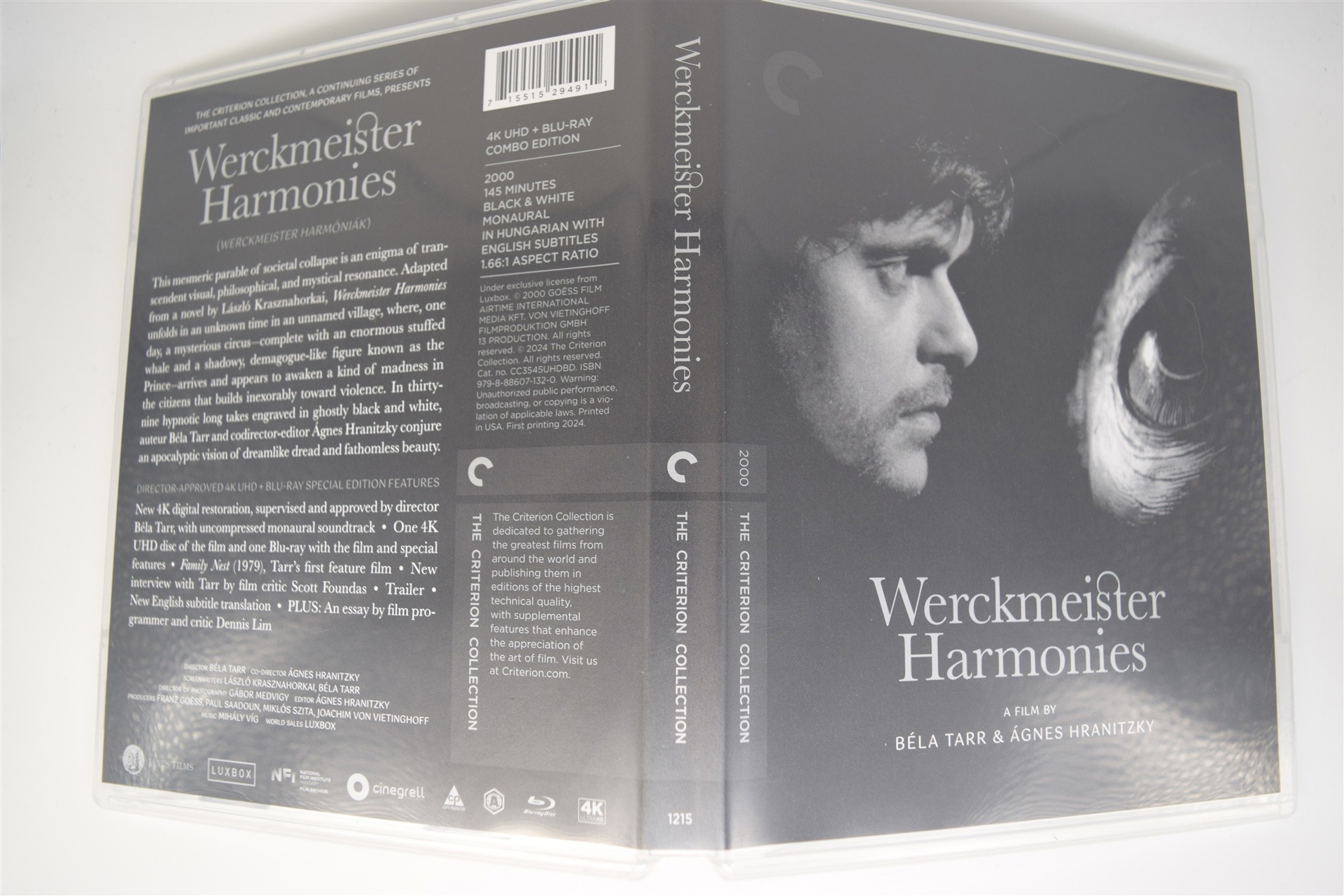 Screen capture from Werckmeister Harmonies