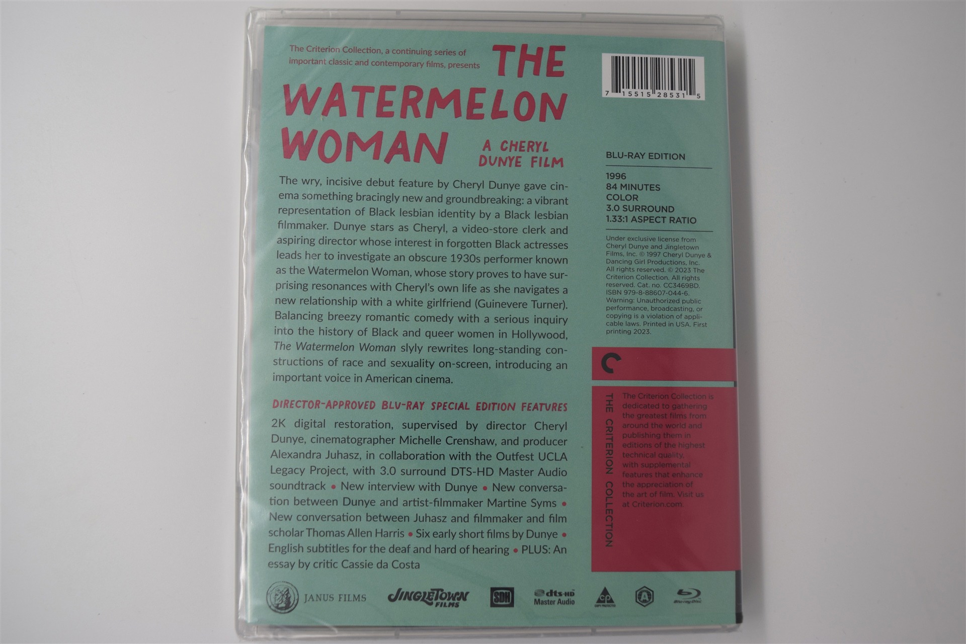 Screen capture from The Watermelon Woman