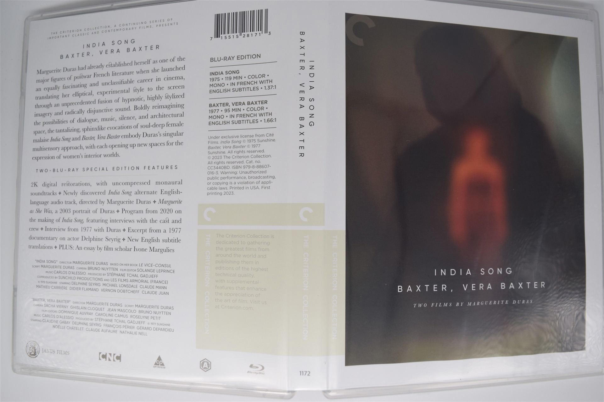 Screen capture from Two Films by Marguerite Duras