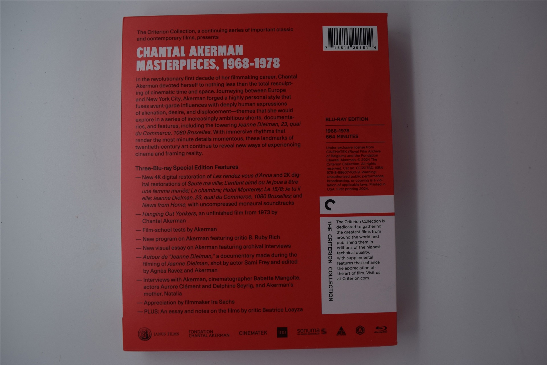 Screen capture from Chantal Akerman Masterpieces, 1968–1978