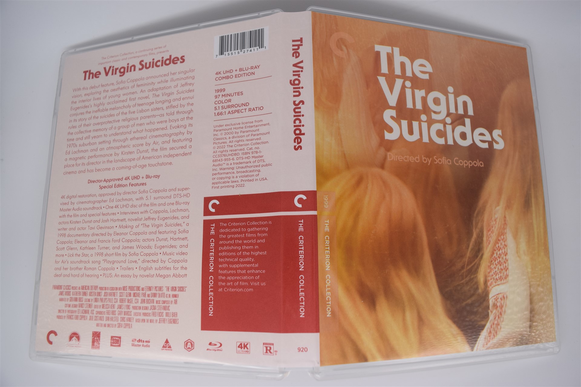 Screen capture from The Virgin Suicides