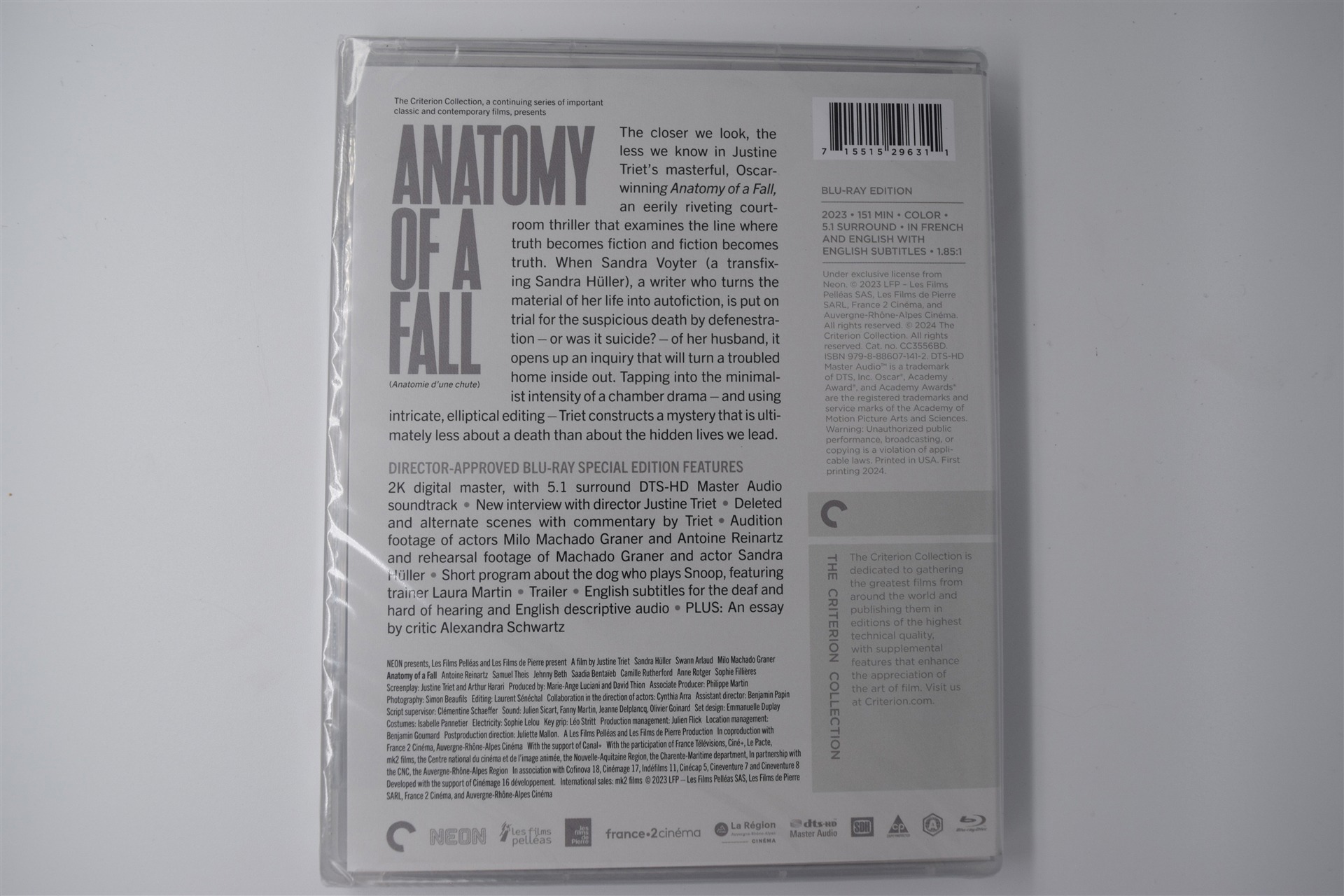 Screen capture from Anatomy of a Fall