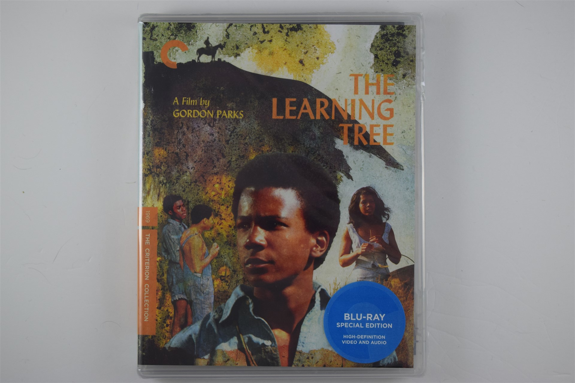 Screen capture from The Learning Tree