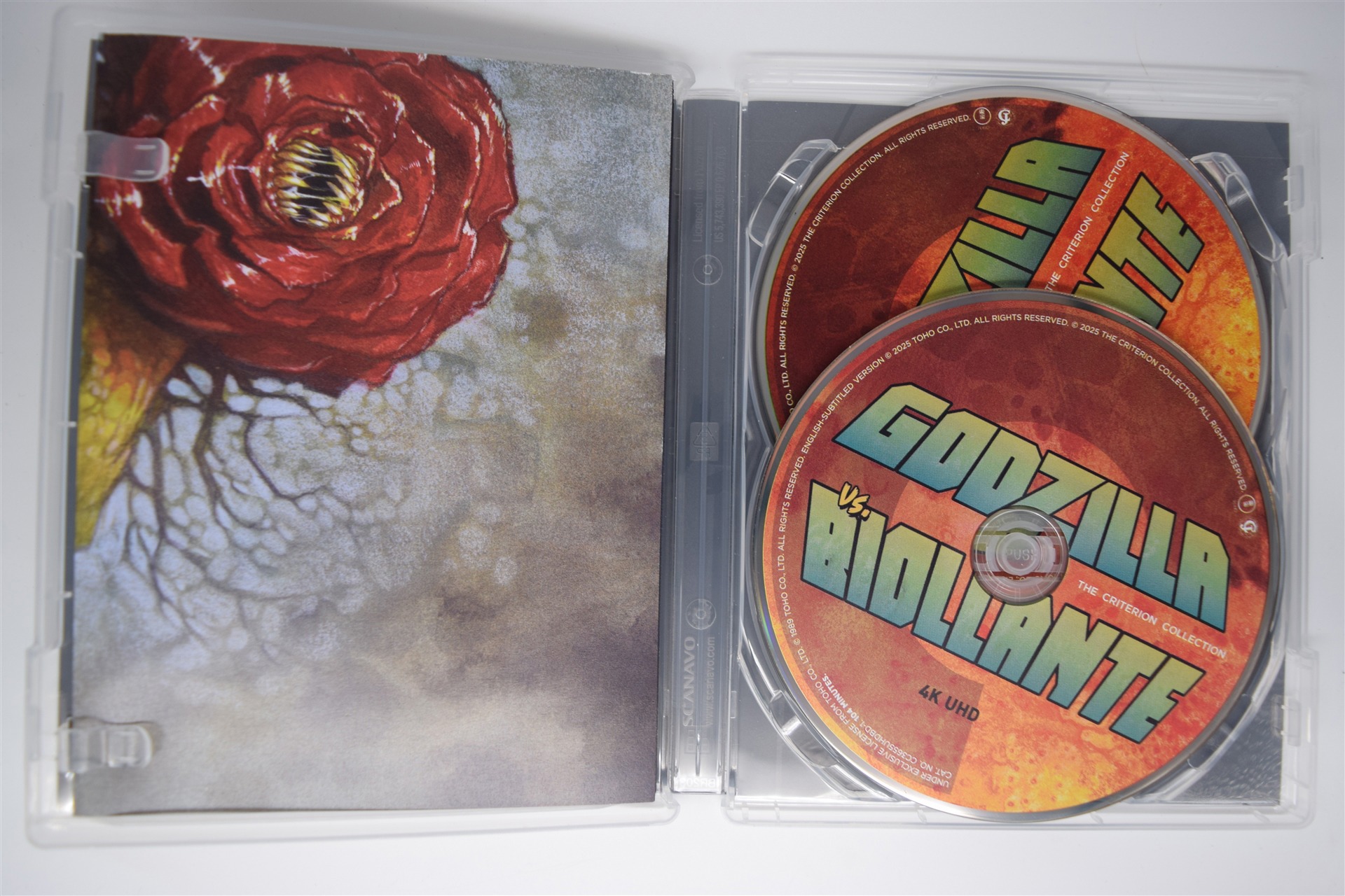 Screen capture from Godzilla vs. Biollante
