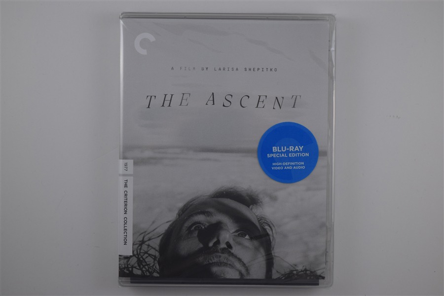 Screen capture from The Ascent