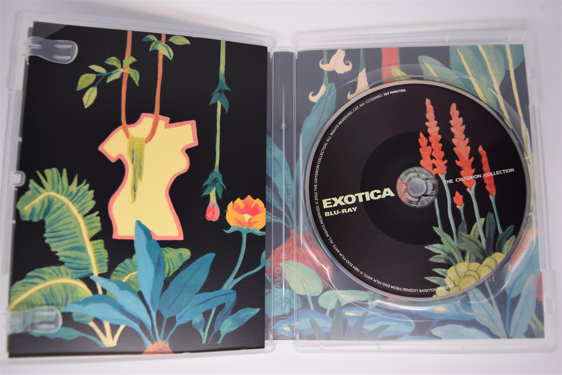 Screen capture from Exotica
