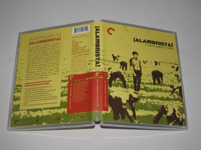 Screen capture from ¡Alambrista!