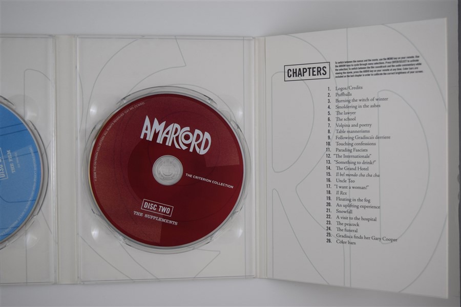 Screen capture from Amarcord