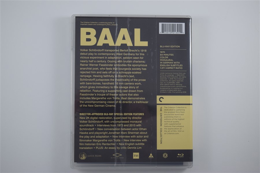 Screen capture from Baal