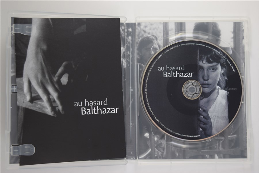 Screen capture from Au hasard Balthazar