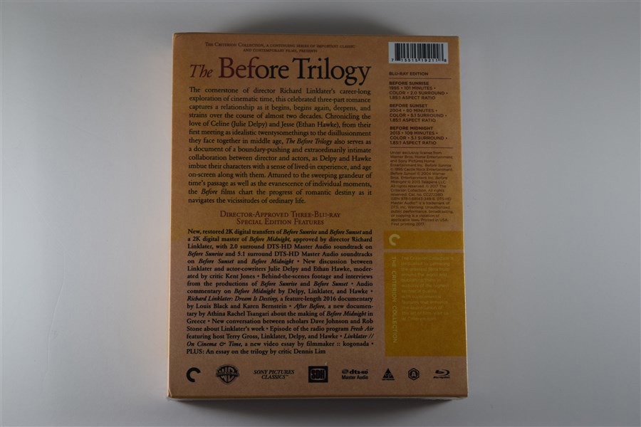 Screen capture from The Before Trilogy