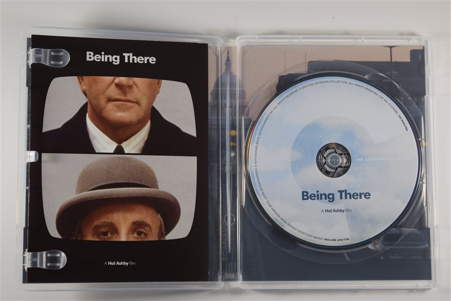 Screen capture from Being There