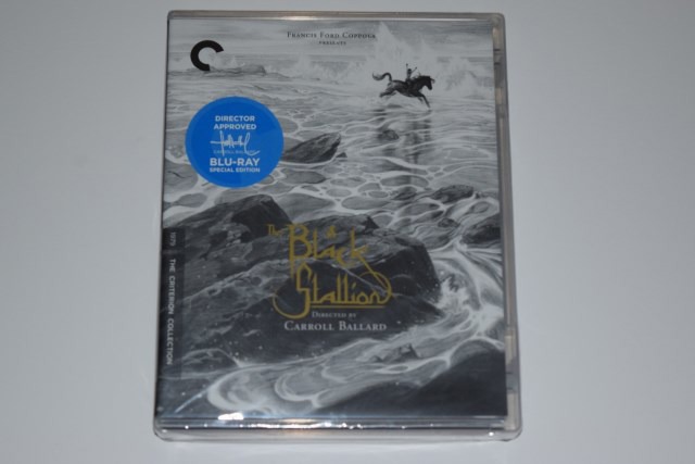 Screen capture from The Black Stallion