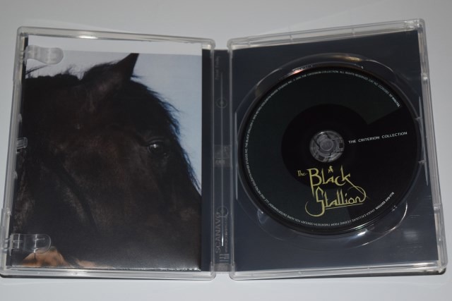 Screen capture from The Black Stallion