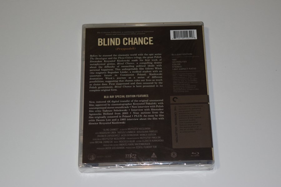Screen capture from Blind Chance