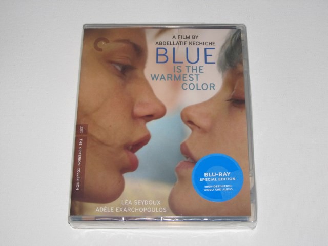 Screen capture from Blue Is the Warmest Color