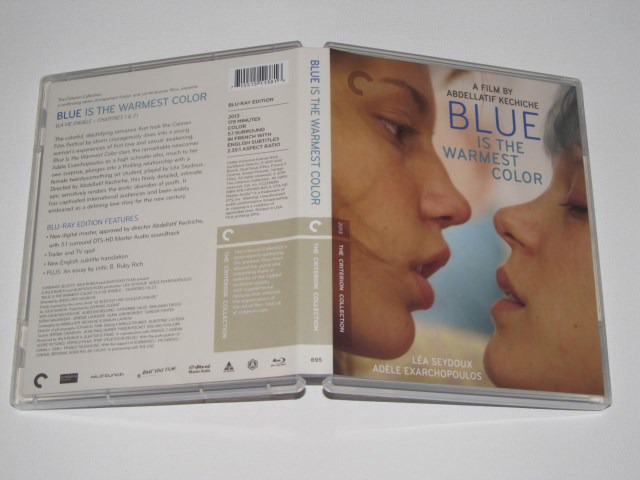 Screen capture from Blue Is the Warmest Color
