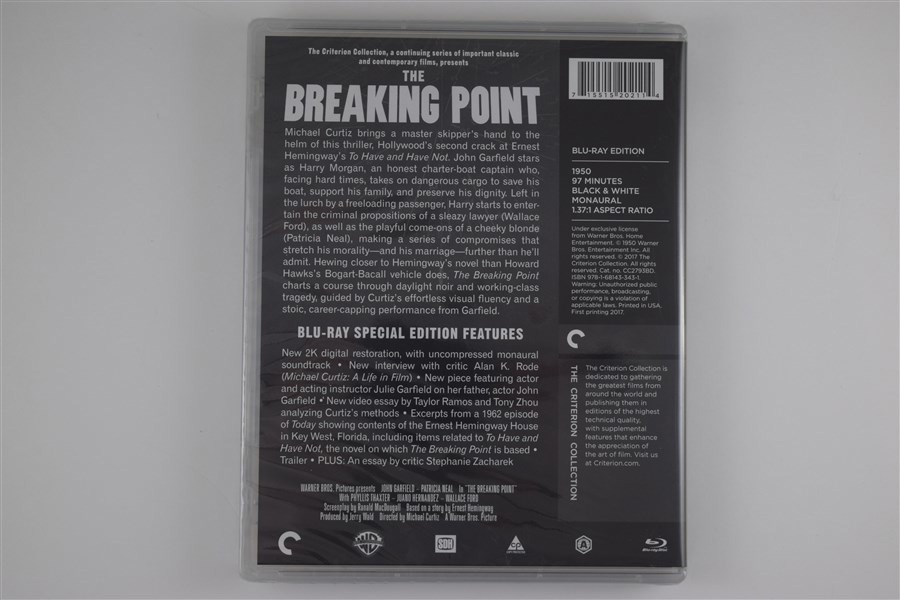 Screen capture from The Breaking Point