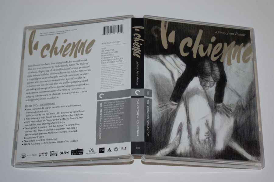 Screen capture from La chienne
