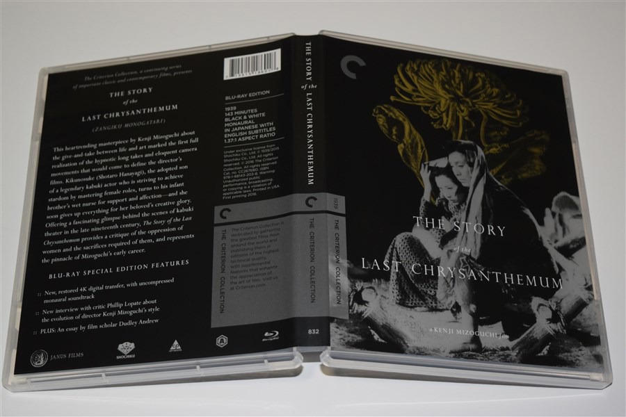 Screen capture from The Story of the Last Chrysanthemum