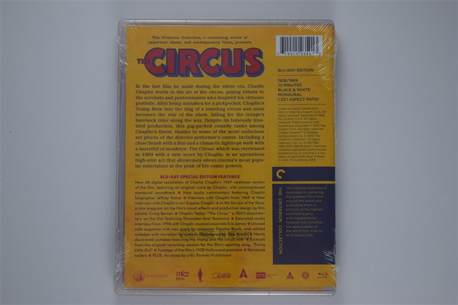 Screen capture from The Circus