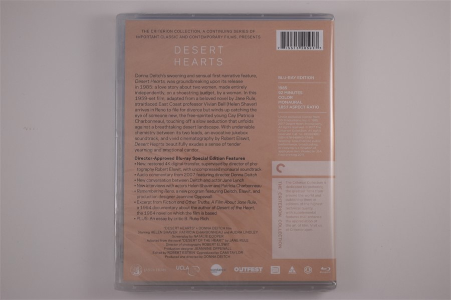 Screen capture from Desert Hearts