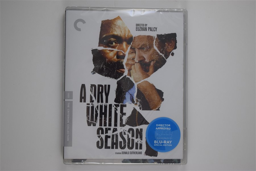 Screen capture from A Dry White Season